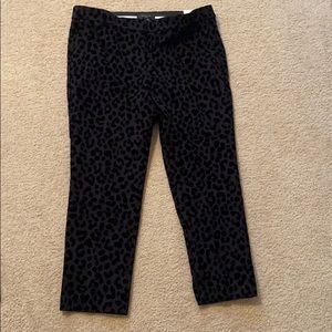 Ann Taylor petite ankle pant leopard print